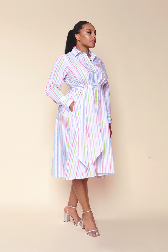 Striped Cotton Poplin Shirt Dress in Pink